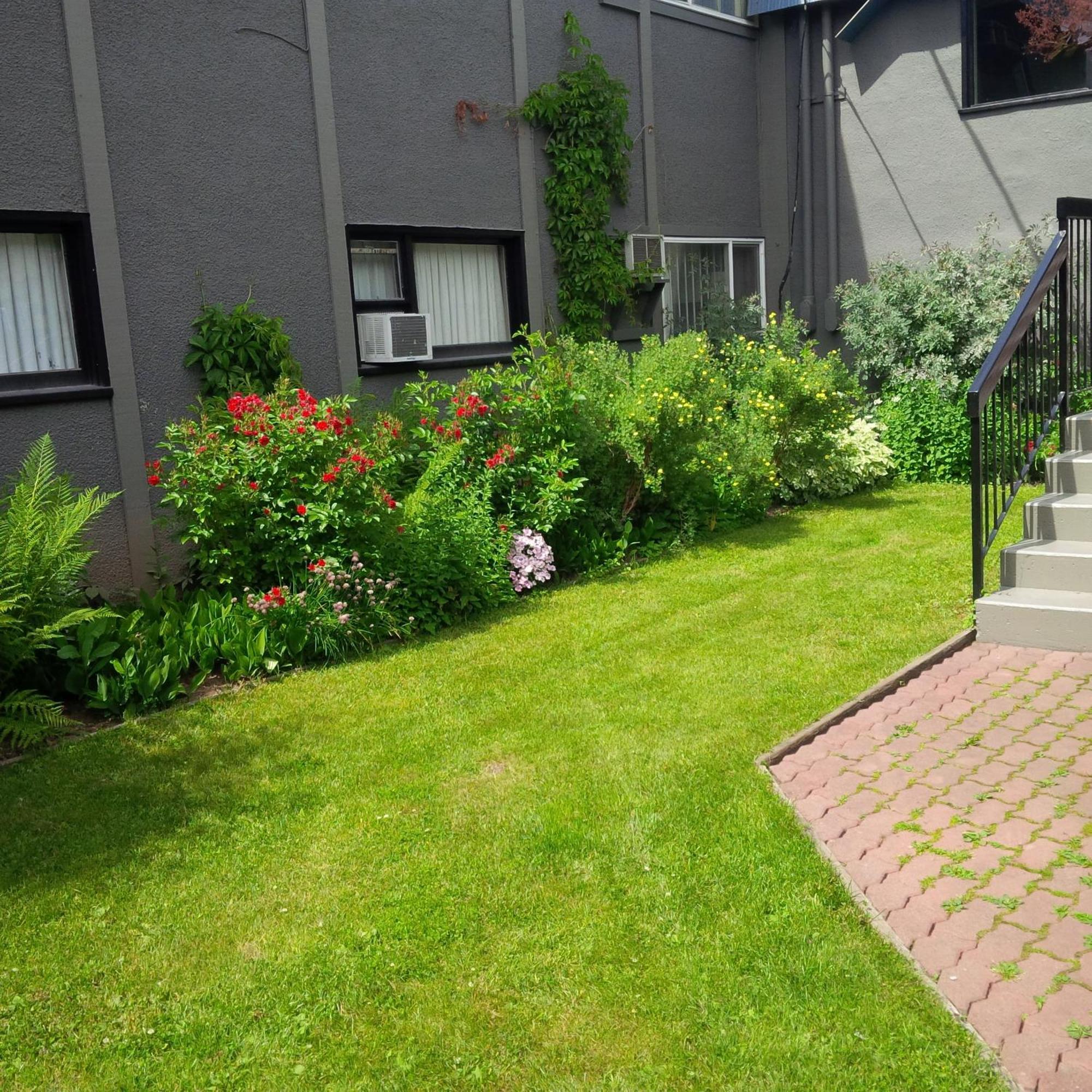 Wells Gray Inn Clearwater Extérieur photo